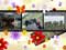Poster cadeau - La pellicule photo fleurie - Exemple