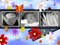 Poster cadeau - La pellicule photo fleurie - Exemple