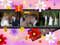 Poster cadeau - La pellicule photo fleurie - Exemple