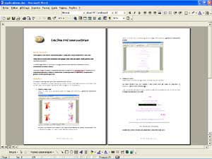 explication pour fabriquer la carte Les f�es ont une surprise