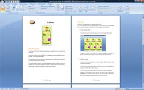 explications pour r�aliser la carte Lutine