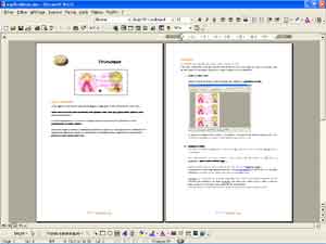 explication pour fabriquer la carte Princesse