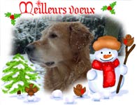 carte avec photo voeux bonhomme de neige aux oiseaux