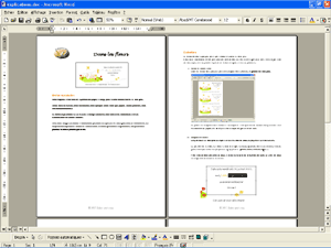 explication pour fabriquer le faire-part Dans les fleurs