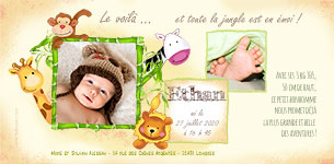 Carte 10x20 personnalise pour faire-part naissance Jungle - safari dans la savane