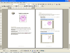 explication pour fabriquer le faire-part Tendre ourson rose