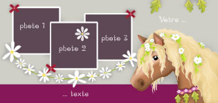 Carte 10x20 personnalise pour anniversaire - Cheval, indiquant les zones o le texte et la photo vont tre intgrs