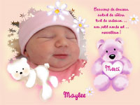 carte de remerciement naissance ours rose fille