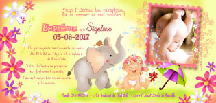 Carte 10x20 personnalise pour Carte d'invitation baptme Elephant