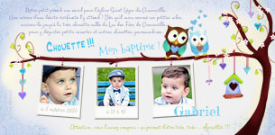 Invitation Baptme Hibou Garon