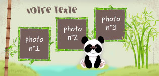 Faire-part bapteme Panda montrant la zone o les photos vont te intgres