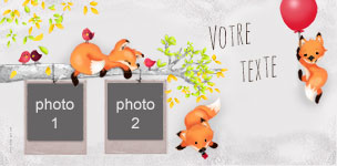 Faire-part Baptme Renard montrant la zone o la photo va te intgre