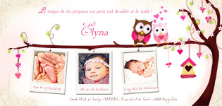 faire-part naissance hibou et chouette