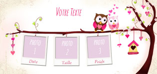 Carte 10x20 personnalise pour Faire-part naissance Hibou et Chouette, indiquant les zones o le texte et la photo vont tre intgrs