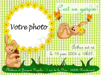 Carte 10x15 personnalise pour Faire-part naissance bb lapin jaune, indiquant les zones o le texte et la photo vont tre intgrs