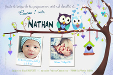 Carte 10x15 personnalise pour Faire-part naissance Hibou et Chouette pour garon