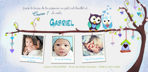 Faire part naissance version garon sur le thme des chouettes et du hibou