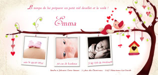 Carte 10x20 personnalise pour Faire-part naissance oiseau avec photos pour fille