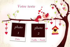 Carte 10x15 personnalise pour Faire-part naissance oiseau avec photos pour fille, indiquant les zones o le texte et la photo vont tre intgrs