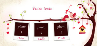 Carte 10x20 personnalise pour Faire-part naissance oiseau avec photos pour fille, indiquant les zones o le texte et la photo vont tre intgrs