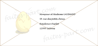 enveloppe faire-part naissance poussin