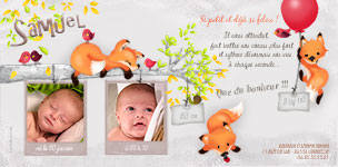 Carte 10x20 personnalise pour Faire-part naissance Renard